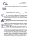 Vista preliminar de documento Resolucion Directoral N° 003811-2024