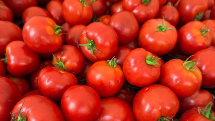 El abastecimiento de productos a los mercados superó las 7 mil toneladas