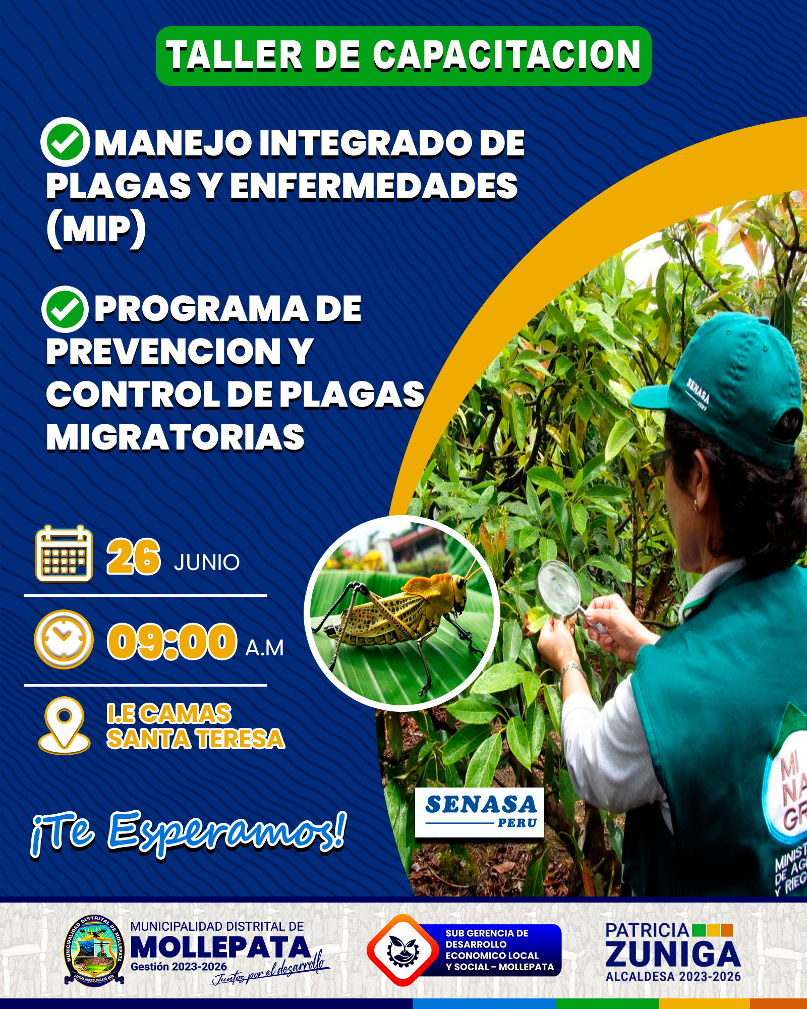 imagen de afiche virtual