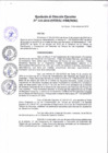 Vista preliminar de documento Resolución de Dirección Ejecutiva N° 310-2016-PATPAL-FBB-MML