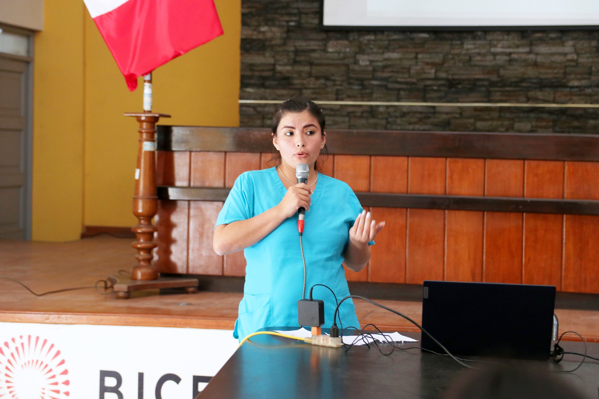 ¡Plan de Trabajo en Intervención del Dengue!