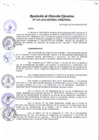 Vista preliminar de documento Resolución de Dirección Ejecutiva N° 319-2016-PATPAL-FBB-MML