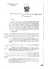 Vista preliminar de documento RGGR 313-2024
