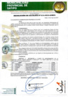 Vista preliminar de documento RESOLUCION DE ALCALDIA N 413-2024-A-MPS