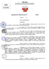 Vista preliminar de documento Resolucion Directoral N° 003815-2024