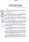 Vista preliminar de documento Resolución de Dirección Ejecutiva N° 355-2016-PATPAL-FBB-MML