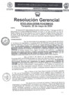 Vista preliminar de documento R.G. N° 033-2024-GRSM-PEHCBM-GG