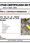 Vista preliminar de documento 142 - SANTOS CLOTILDE CASTILLO GONZALES