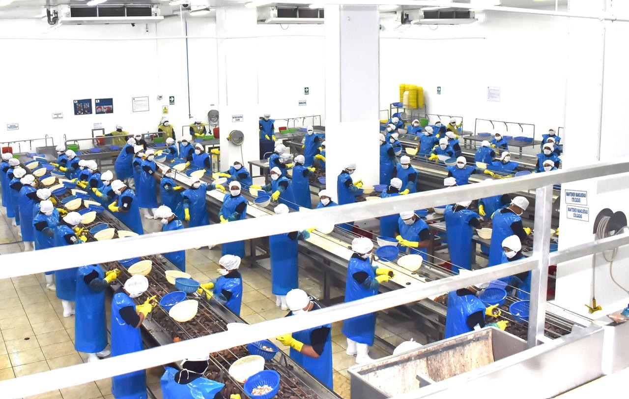 Modificación de este reglamento no afectará el normal abastecimiento y comercialización de los recursos y productos hidrobiológicos