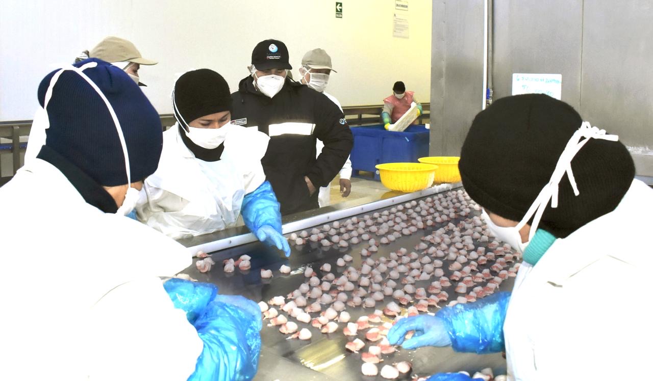 Modificación de este reglamento no afectará el normal abastecimiento y comercialización de los recursos y productos hidrobiológicos