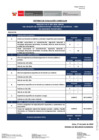 Vista preliminar de documento Criterios de Eva. Curricular CAS N_ 005-2024