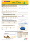 Vista preliminar de documento Boletín de comercialización de MAÍZ AMARILLO DURO  - 17/06/2024