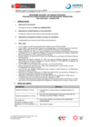 Vista preliminar de documento BASES CAS N°032-2024