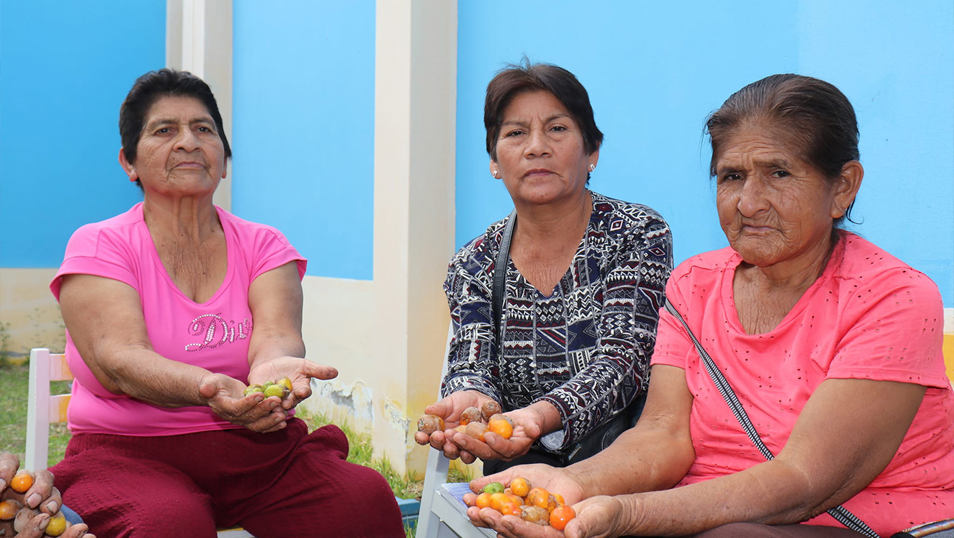 Usuarios de Pensión 65 prepararán Dulce de Ciruela