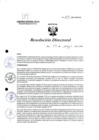 Vista preliminar de documento R.D. 802-2023