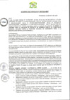 Vista preliminar de documento AC-2024-048