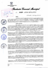 Vista preliminar de documento DIRECTIVA N° 001-2024MPAGPP-UPyR
