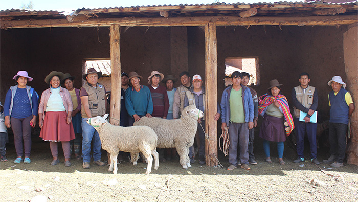 foto conjunta
