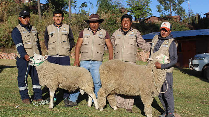 equipo tecnico