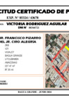 Vista preliminar de documento 138 - VICTORIA RODRIGUEZ