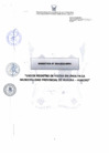 Vista preliminar de documento Directiva 04-2024