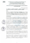 Vista preliminar de documento RGSPGA_124_2024_MDI