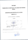 Vista preliminar de documento RENDICION DE CUENTAS LA COIPA