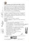 Vista preliminar de documento Acta de Conformación del Comité de Salud Distrital de Gorgor