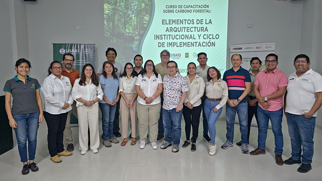 no carbono forestal