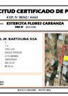 Vista preliminar de documento 124 - ESTERCITA FLORES