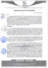 Vista preliminar de documento rgm241