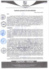 Vista preliminar de documento rgm276