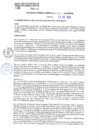 Vista preliminar de documento RGM N°292-2024