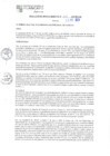 Vista preliminar de documento RGM 301