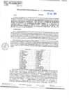 Vista preliminar de documento RGM 309