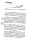 Vista preliminar de documento RGM 311