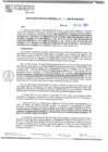 Vista preliminar de documento RGM 310