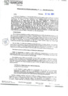 Vista preliminar de documento RGM 312