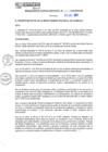 Vista preliminar de documento RGM N°322-2024