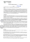 Vista preliminar de documento RGM N°363-2024