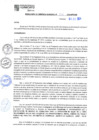 Vista preliminar de documento RGM N°379-2024