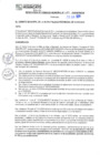 Vista preliminar de documento RGM N°387-2024