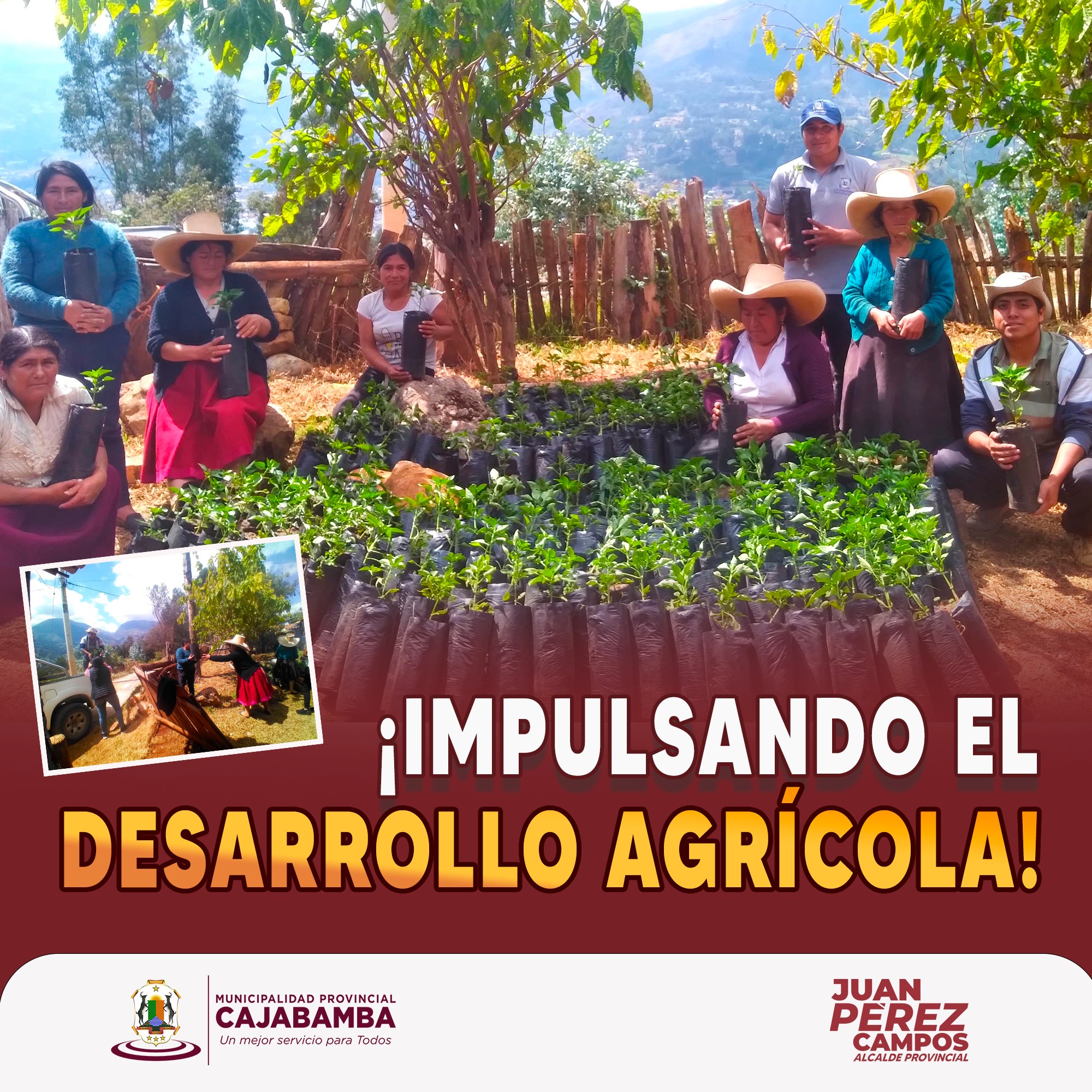 ¡Impulsando el desarrollo agrícola!