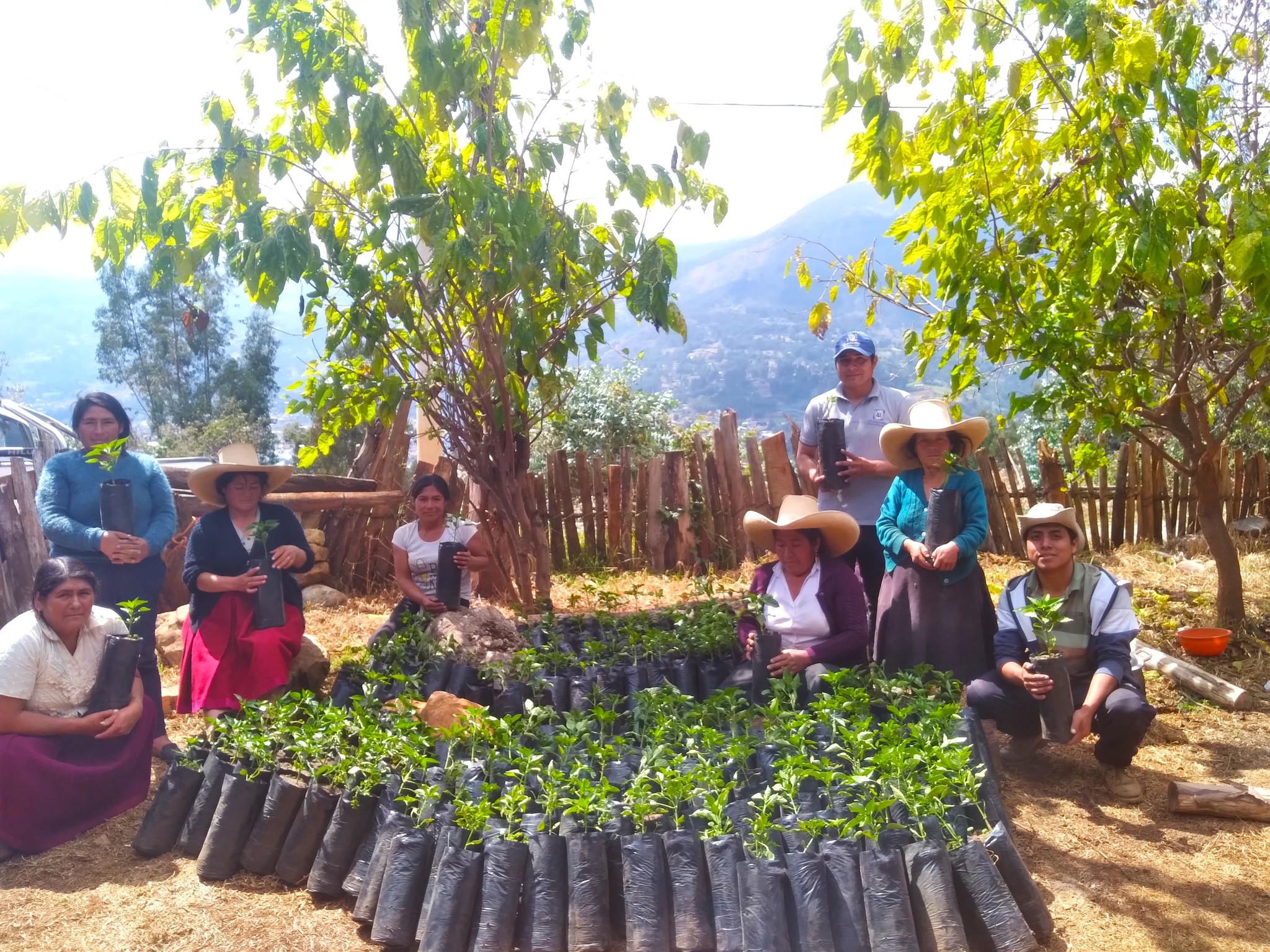¡Impulsando el desarrollo agrícola!