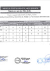 Vista preliminar de documento RESULTADOS PRELIMINARES