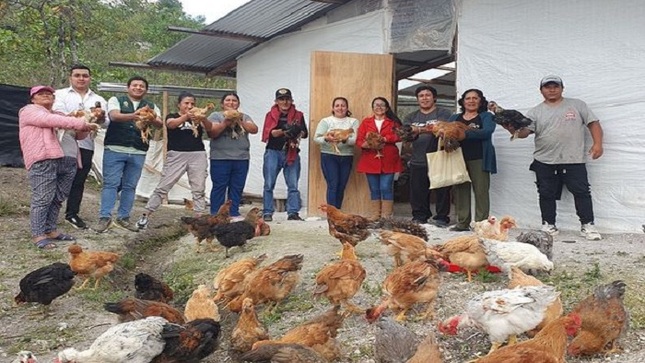 POLLOS DURAZNOPAMPA 1