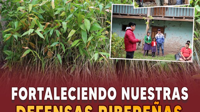 Fortaleciendo nuestras defensas ribereñas