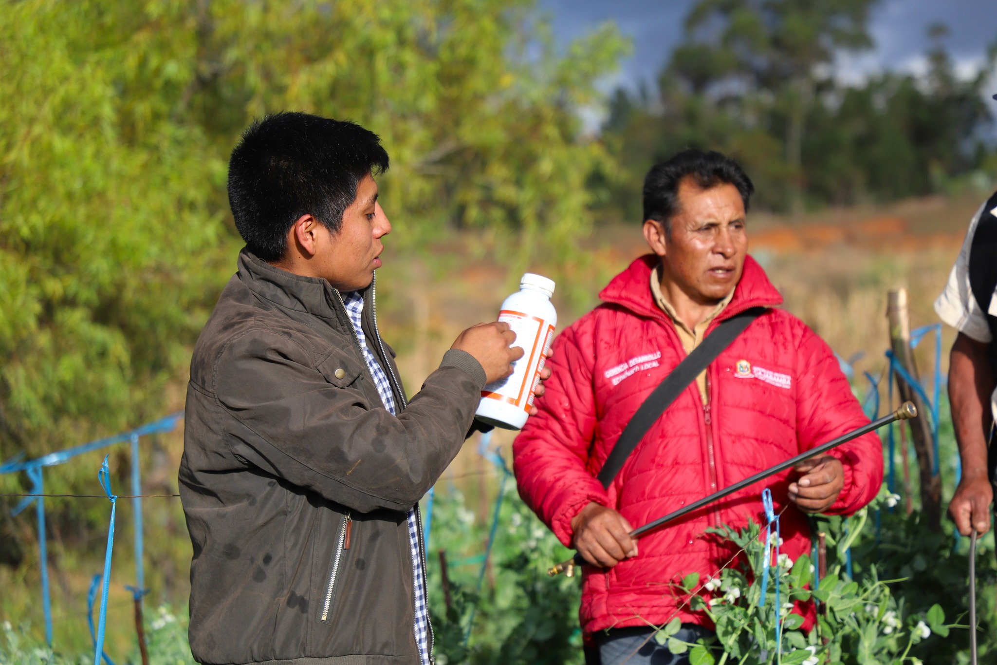 Potenciando capacidades agrícolas en Machacuay