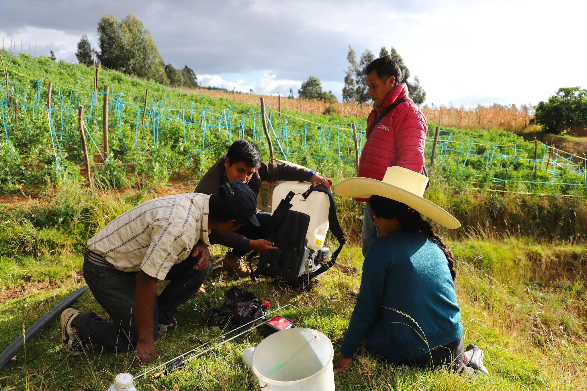 Potenciando capacidades agrícolas en Machacuay