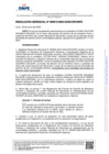 Vista preliminar de documento RG-13-2024-GOECOR